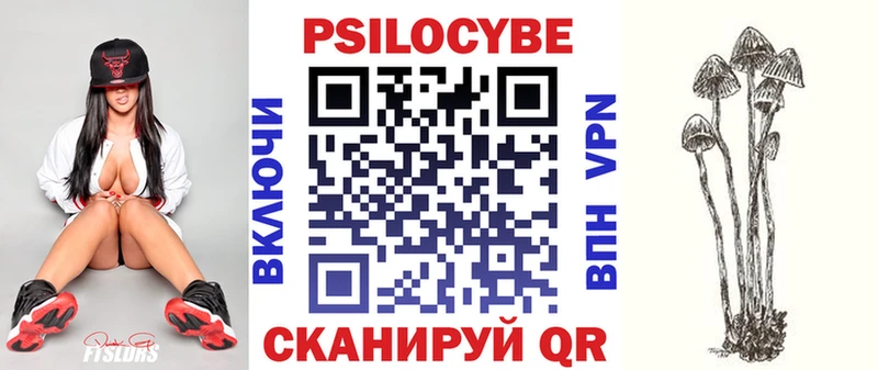 купить наркотики цена  Томари  Псилоцибиновые грибы GOLDEN TEACHER 